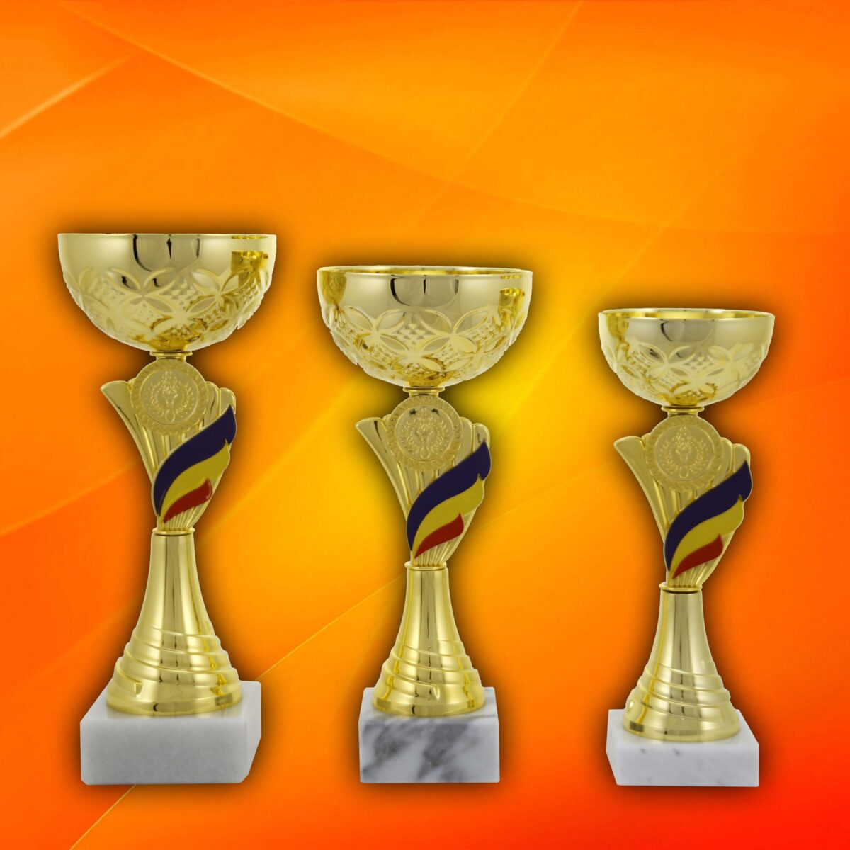 Trofeu national N15