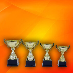 Cupa 1101 - elegante