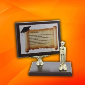 0P13 Plachetă absolvire