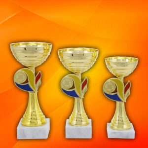 Trofeu national N0405 tricolor