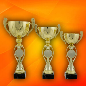 Cupe cu pret mediu 4302