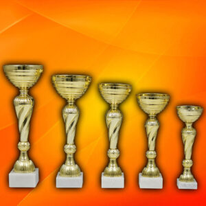 Cupe cu pret mediu 4584