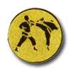 Karate B46