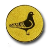 Porumbel B97