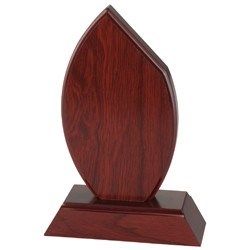 PLacheta economica FA16