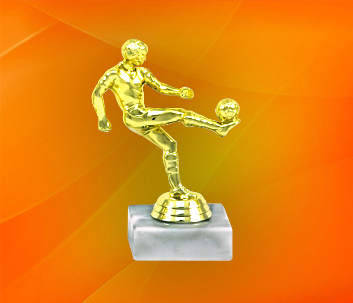 P01 fotbalist