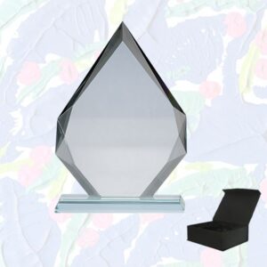 ACR13 trofeu cristal